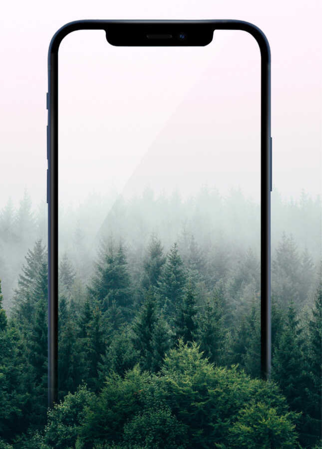 iPhone 13 Pro Wiwu iPrivacy HD Anti-Peep Ekran Koruyucu - 11