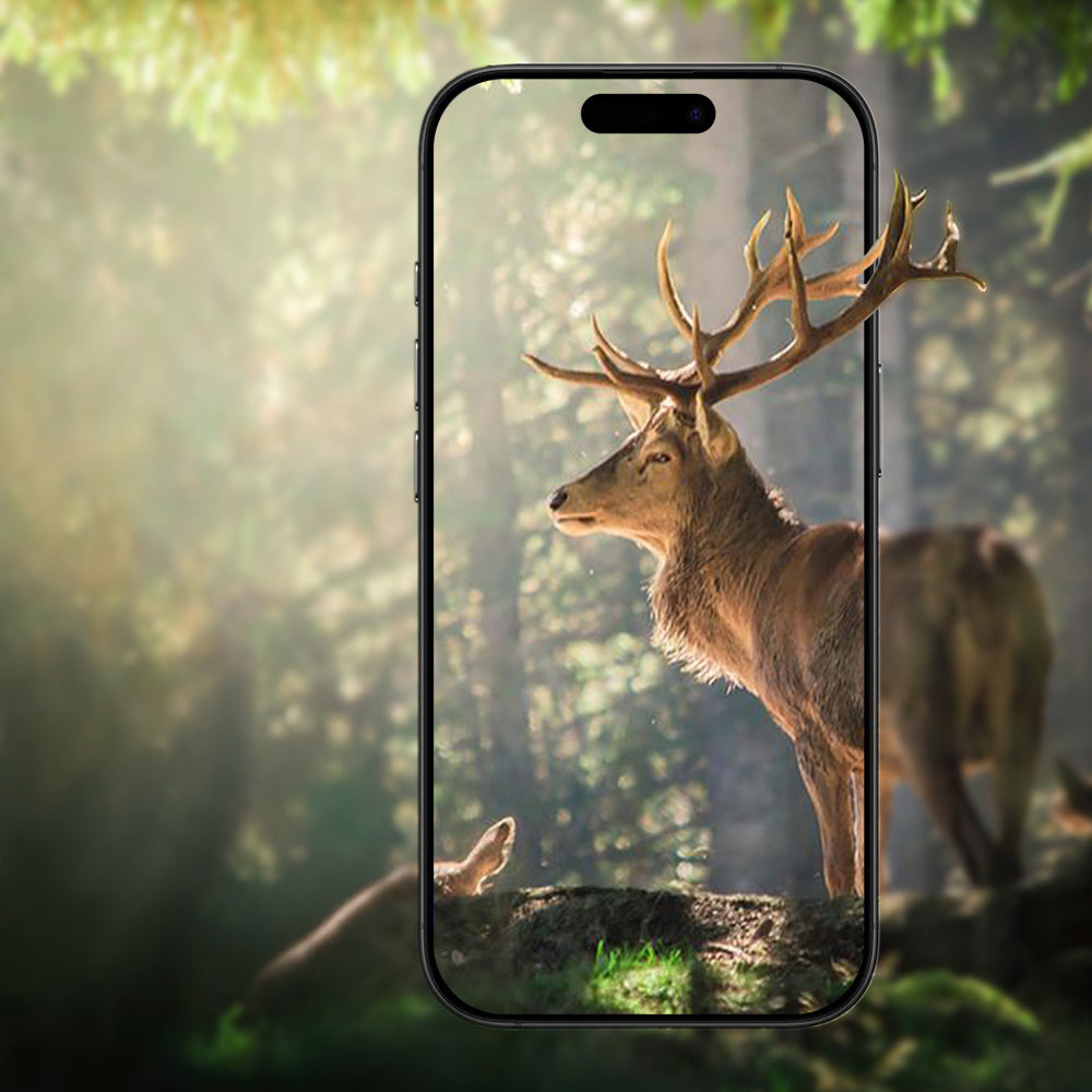 Cepax iPhone 17 Air Mikro Kamera Lens Koruyucu
