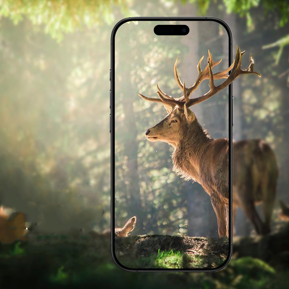 Cepax iPhone 17 Pro/Pro Max Mikro Kamera Lens Koruyucu
