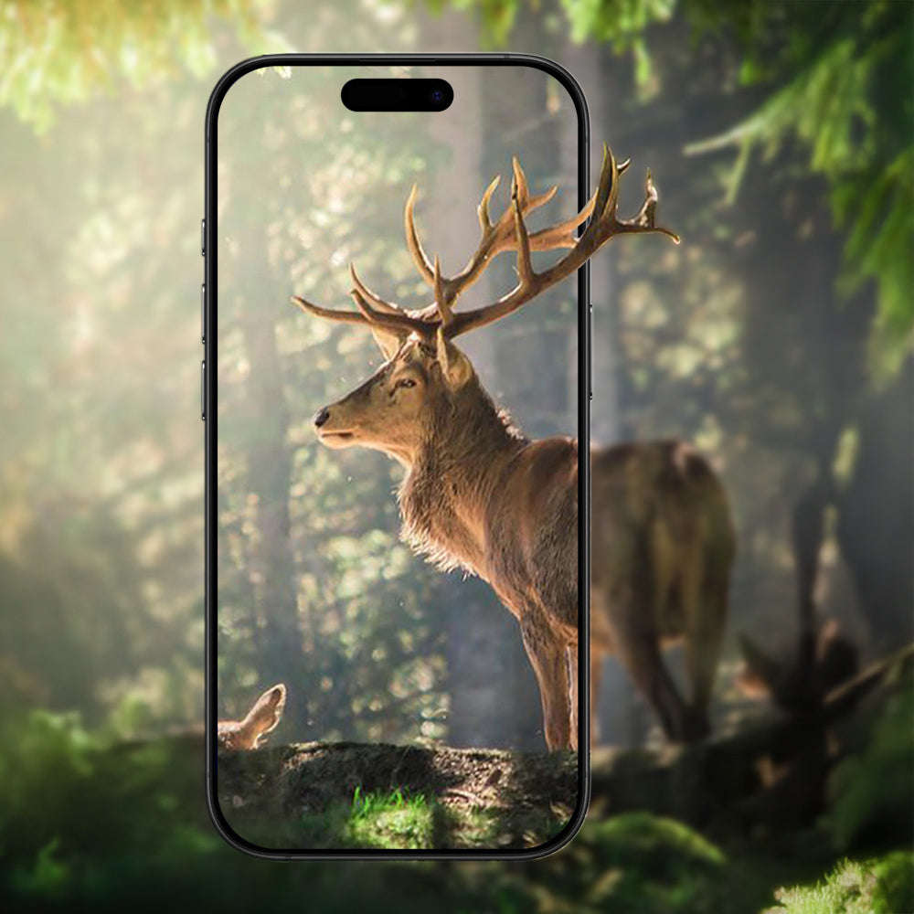 Cepax iPhone 17 Mikro Kamera Lens Koruyucu