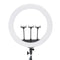 Jmary FM-21R Uzaktan Kumandalı 52cm Işıklı Telefon Tutucu Ring Light