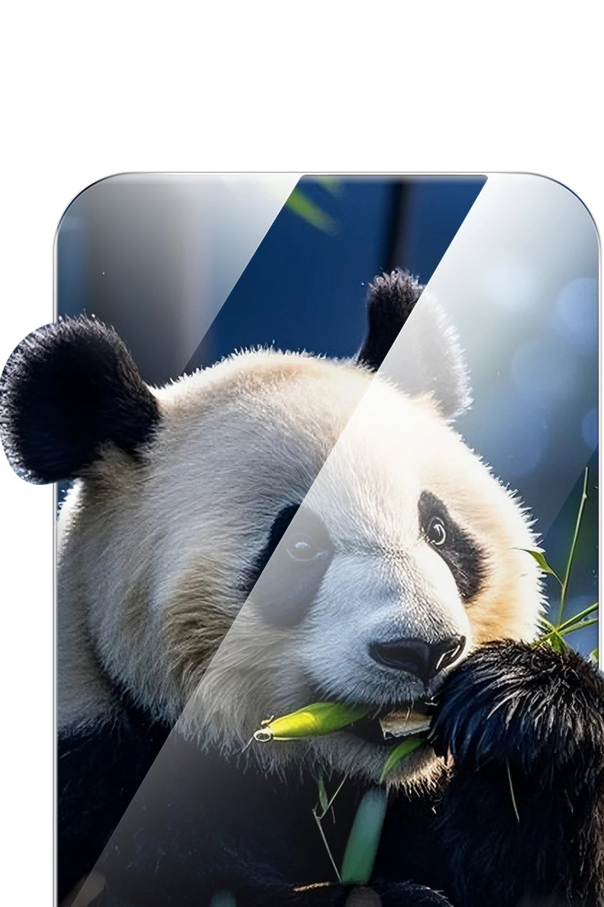 Keephone Apple iPhone 15 Pro Innova HD Cam Ekran Koruyucu