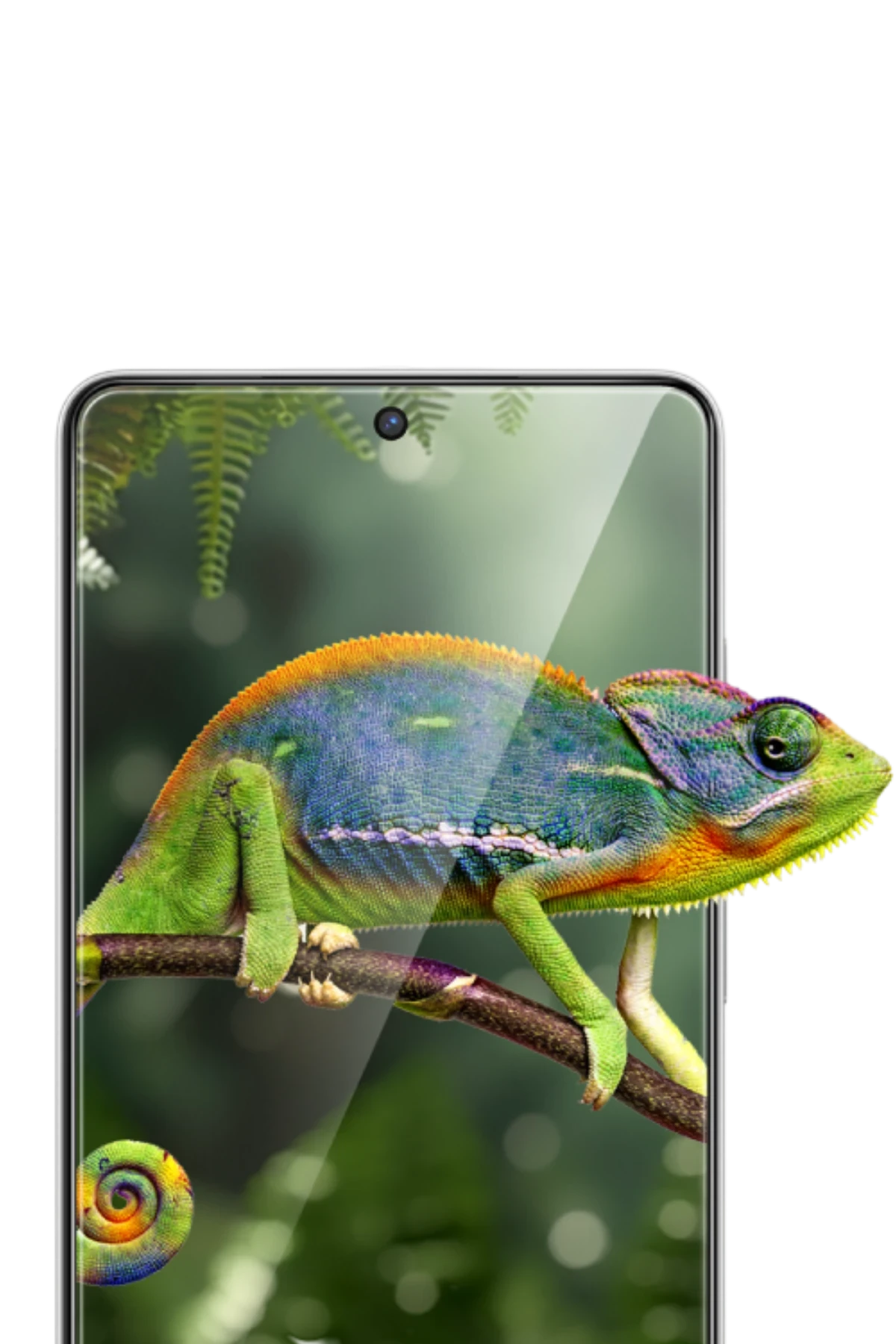 Keephone Samsung Galaxy S26 Delux Full Glue 2.5D Cam Ekran Koruyucu