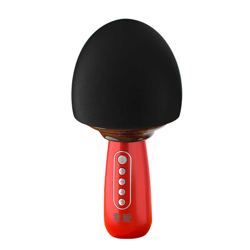 Soaiy MC15 Hoparlör ve Karaoke Mikrofon - 2